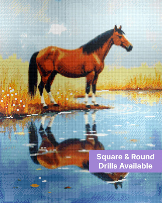 Chestnut horse standing by a pond with golden grass and mirrored reflection