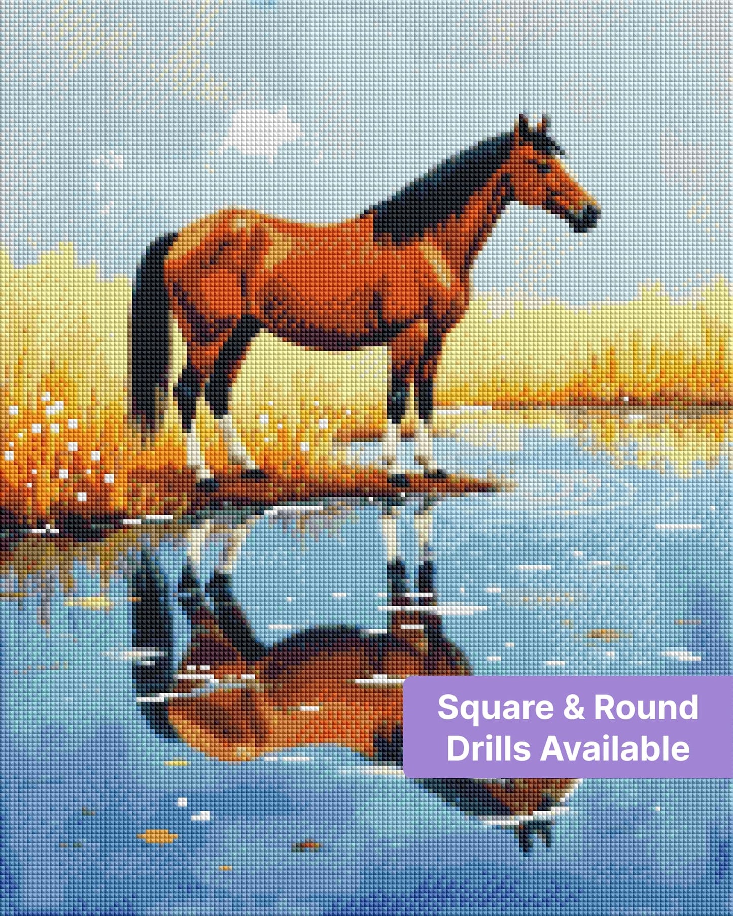 Chestnut horse standing by a pond with golden grass and mirrored reflection
