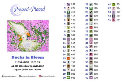 Ducks in Bloom