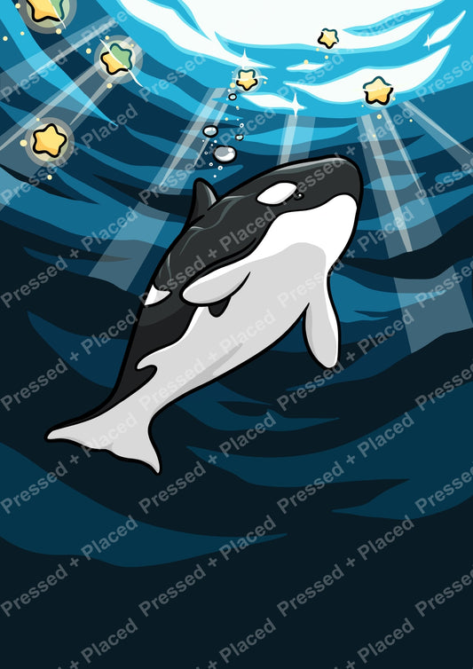 Orca whale swimming underwater with star-like lights in a bold cartoon style