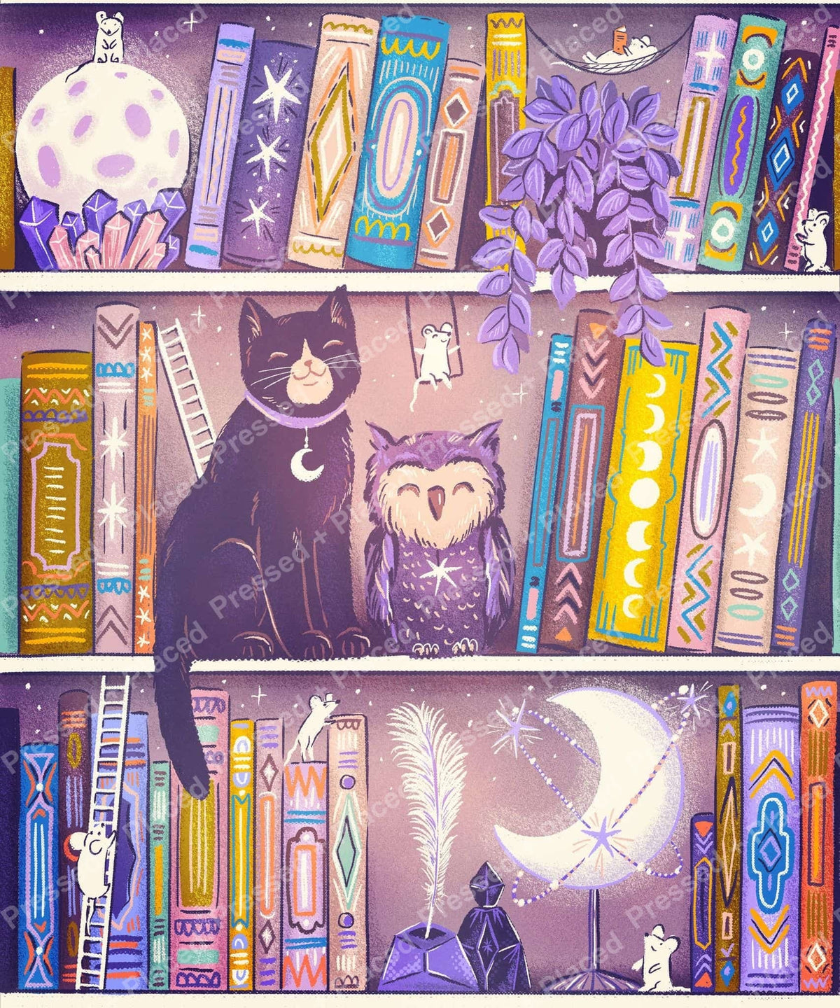 Whimsical cat and owl bookshelf scene with moons, books, crystals, and boho-style details