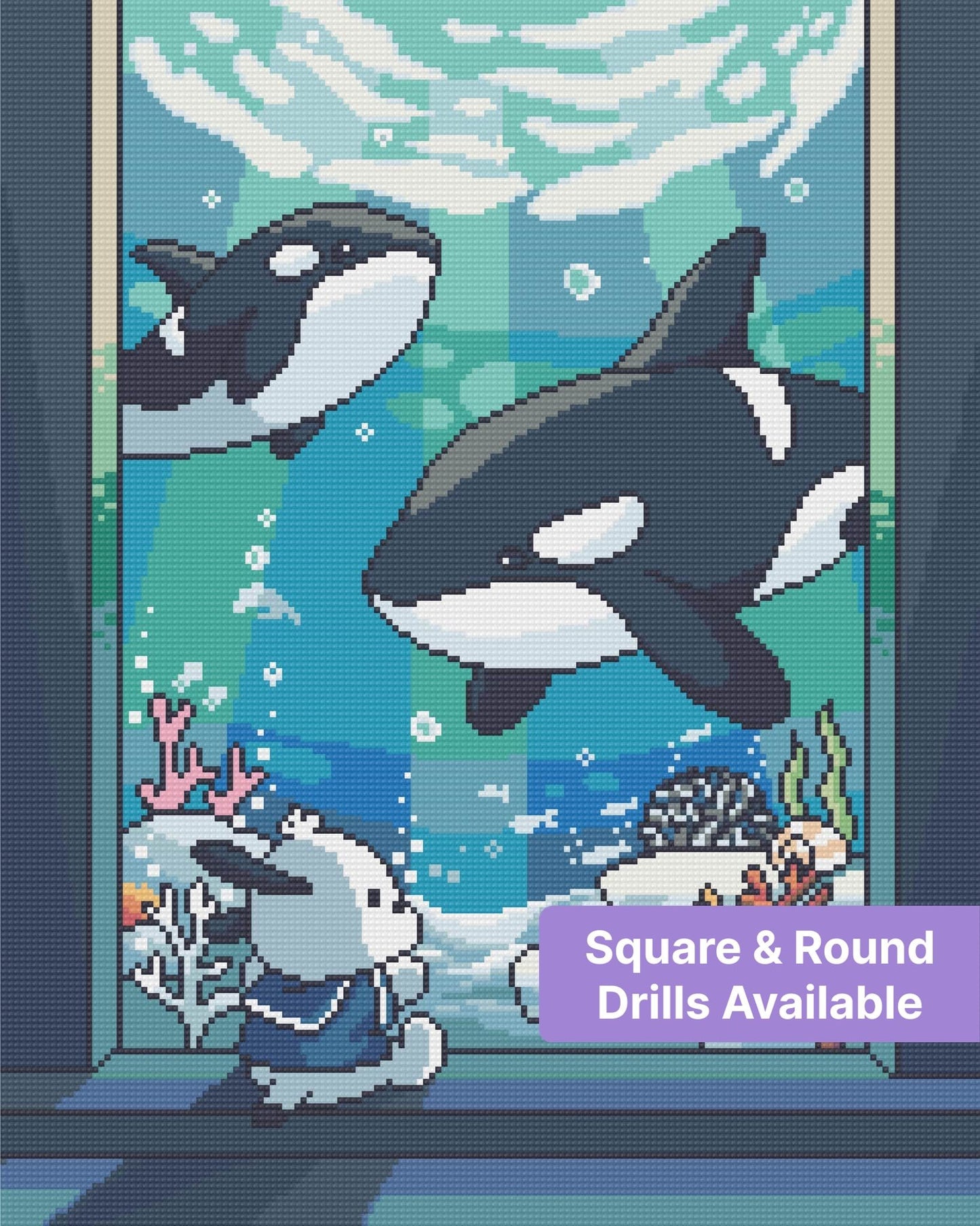 Cartoon orcas swimming underwater with a bunny, coral reef, and ocean blues