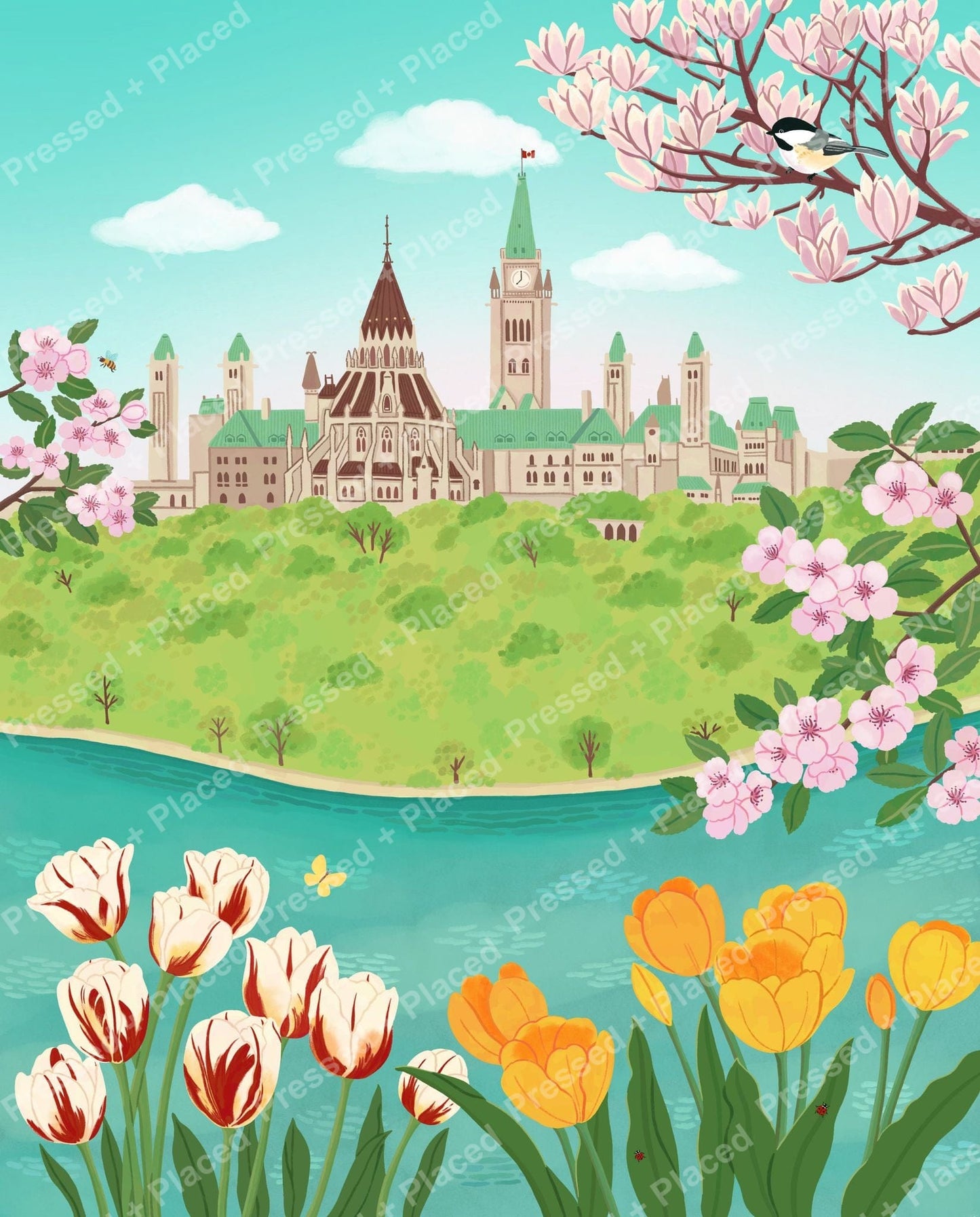 Illustrated Ottawa skyline with tulips, cherry blossoms, river, and spring greenery